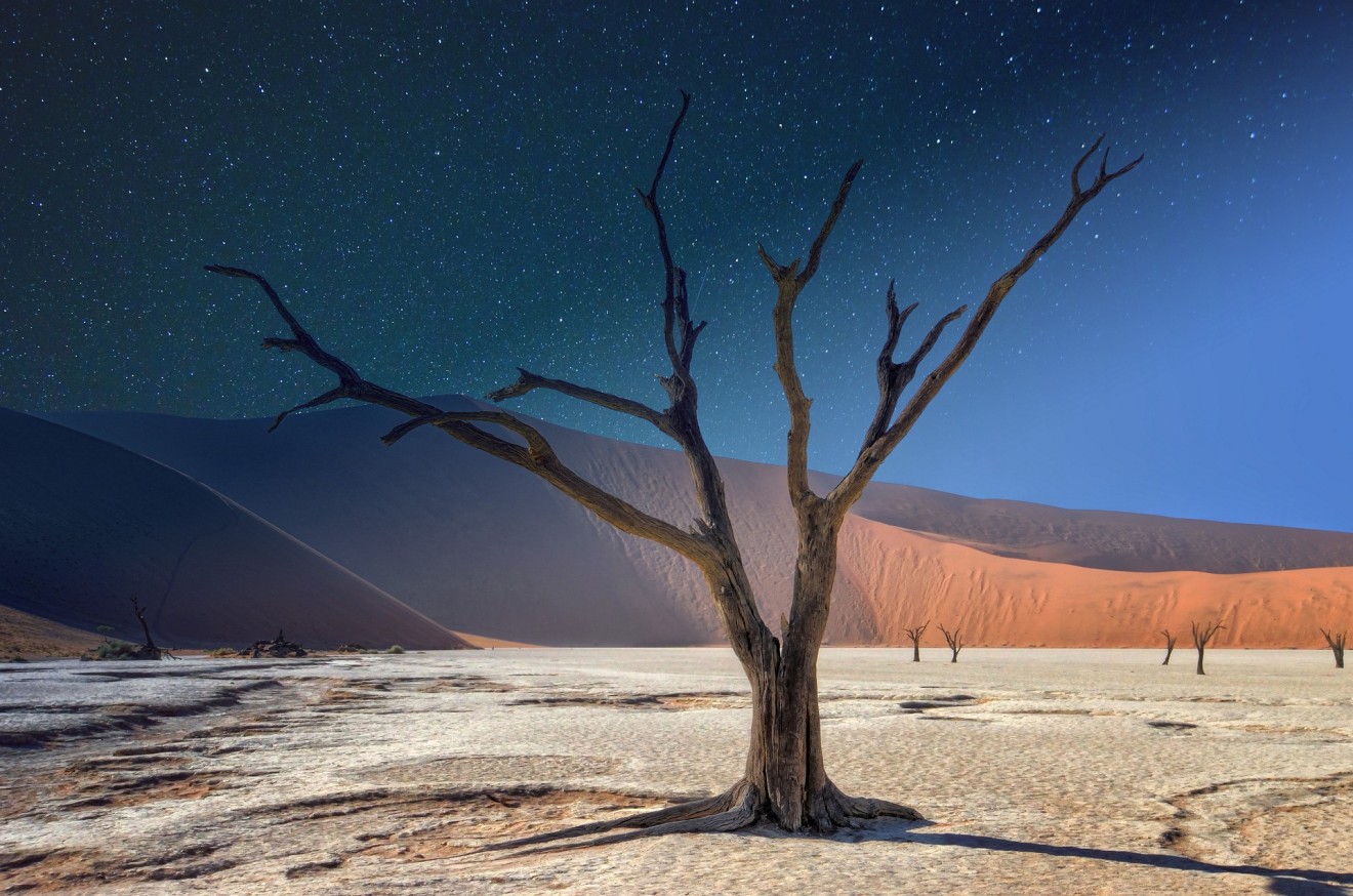Namibia, Deadvlei