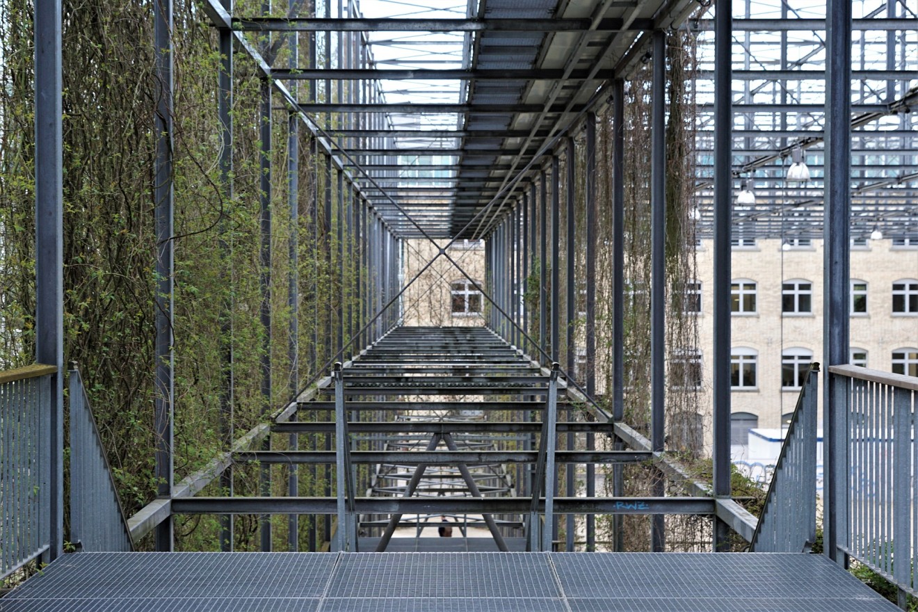 Mfo park, Zurich,