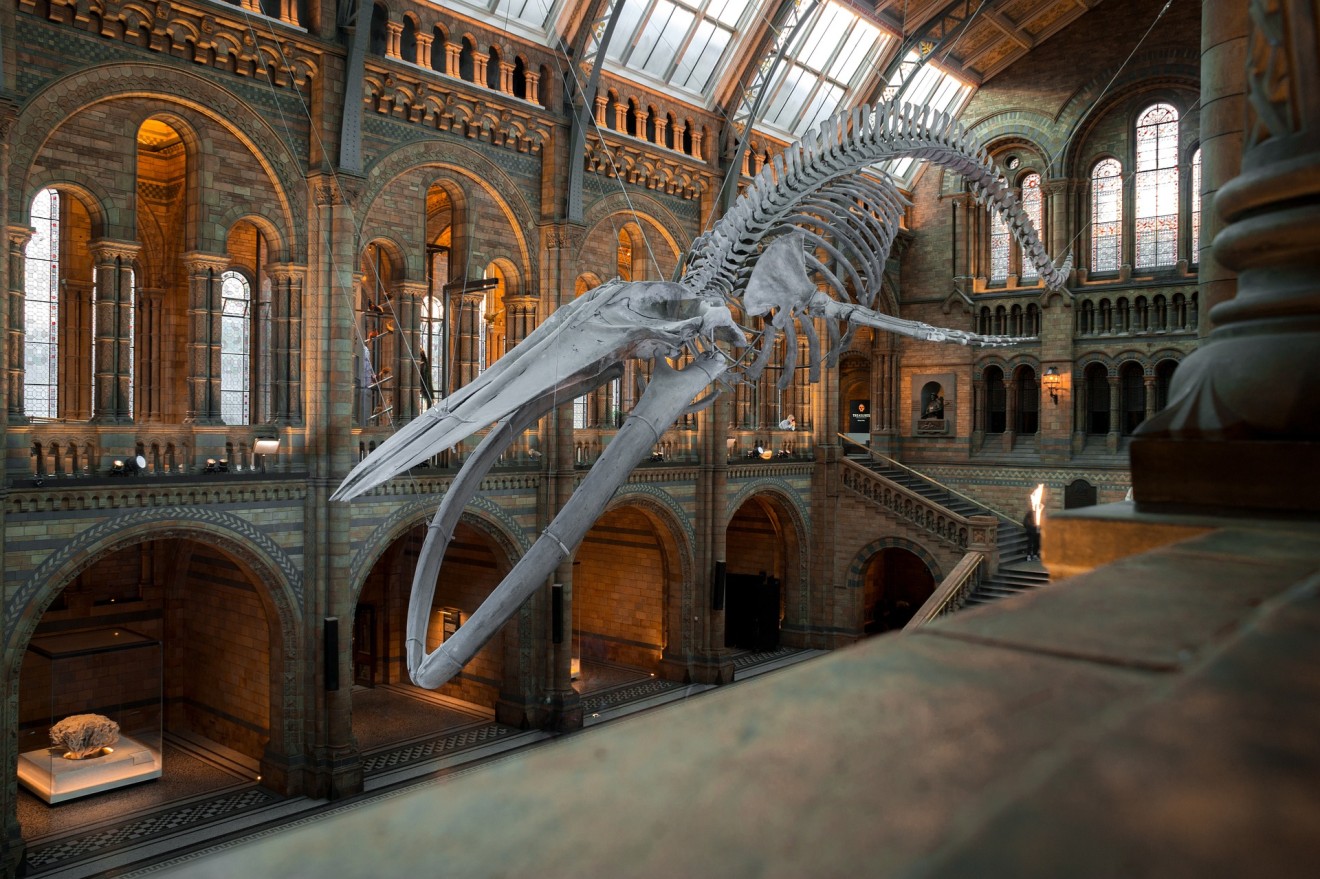 National history museum