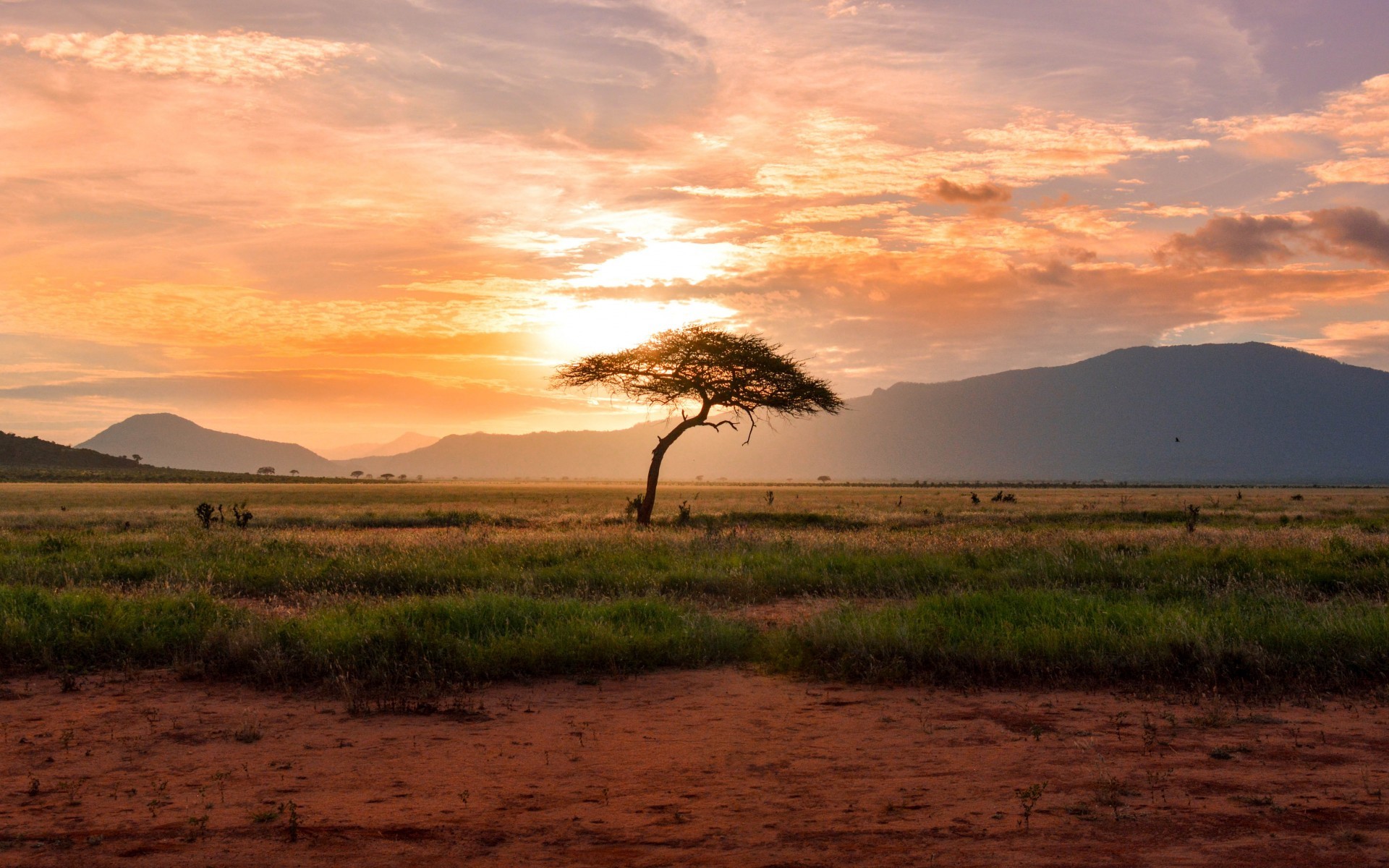 Africa